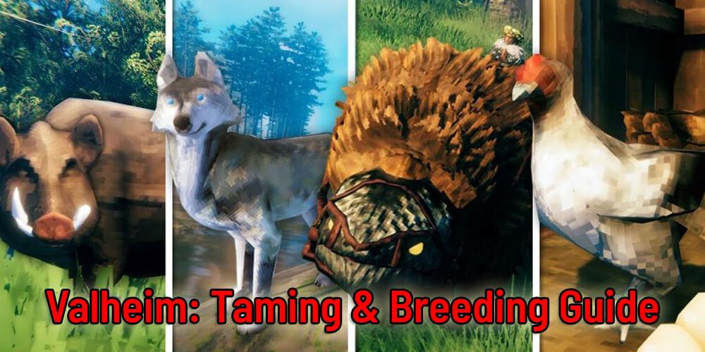 Valheim Guide: Taming Wild Animals – How to breed wild boars, wolves,  chicken & lox – 